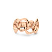 Bigli Elements Ring - Bild 2