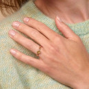 Bron Sushi Ring - Bild 2