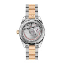 Omega Seamaster Aqua Terra Shades - Bild 2