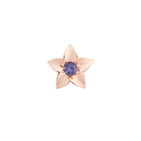         Roségold, Accessoires/Sonstiges, Bron Poppy Brosche 8BR1283IO