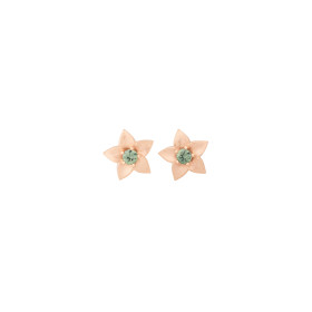         Roségold, Ohrringe, Bron Poppy Ohrschmuck 8OR4897MGK