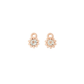         Roségold, Ohrringe, Bron Sprite Einhänger 8OR4801LQ