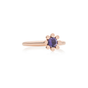         Roségold, Ringe, Bron Sprite Ring 8RR4849IO