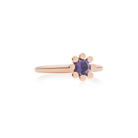         Roségold, Ringe, Bron Sprite Ring 8RR4849IO