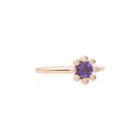 Roségold, Ringe, Bron Sprite Ring 8RR4849AM