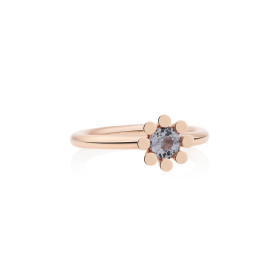 Roségold, Ringe, Bron Sprite Ring 8RR4849SP
