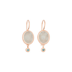 Roségold, Ohrringe, Bron Sushi Ohrschmuck 8OR4862AQCIBR