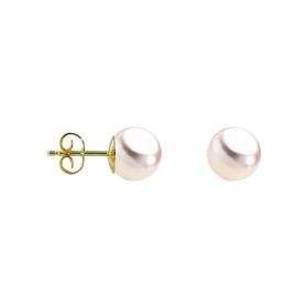 Gelbgold, Ohrringe, Hesse Perl-Ohrstecker 310.0046