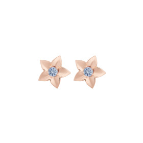 Roségold, Ohrringe, Bron Poppy Ohrschmuck 8OR4897CS