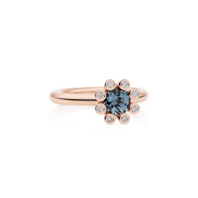 Roségold, Ringe, Bron Sprite Ring 8RR4590SPBR
