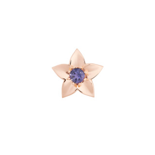 Roségold, Accessoires/Sonstiges, Bron Poppy Brosche, Ref: 8BR1283IO