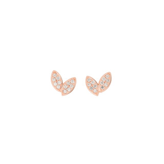 Roségold, Ohrringe, Bron Poppy Petal Ohrschmuck, Ref: 8OR4915BR