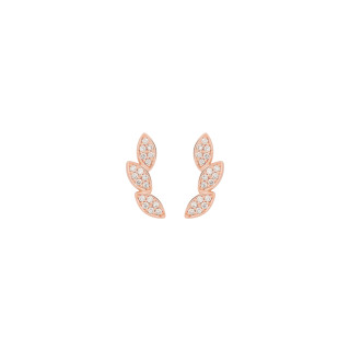 Roségold, Ohrringe, Bron Poppy Petal Ohrschmuck, Ref: 8OR4913BR