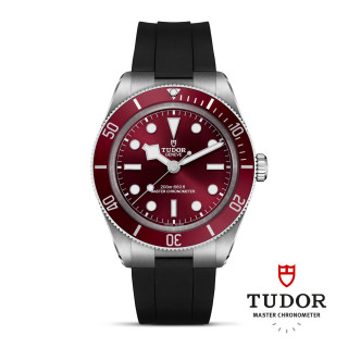 TUDOR Black Bay 58, Ref: M7939A1A0RU-0003