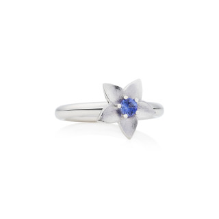 Weißgold, Ringe, Bron Poppy Ring, Ref: 8RW4916MCS