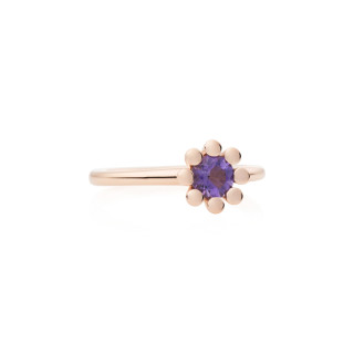 Roségold, Ringe, Bron Sprite Ring, Ref: 8RR4849AM