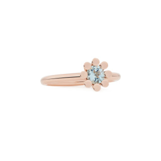 Roségold, Ringe, Bron Sprite Ring, Ref: 8RR4849BT