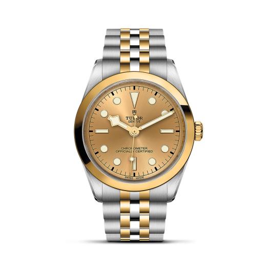 TUDOR - Black Bay One 36 S&G