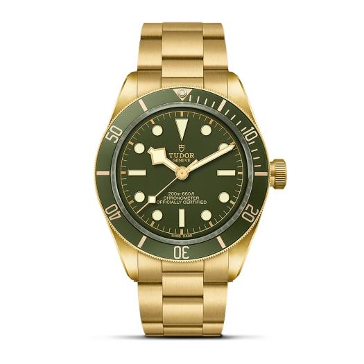 TUDOR - Black Bay 58 18K