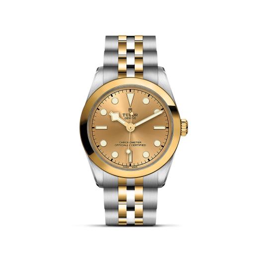 TUDOR - Black Bay One 31 S&G