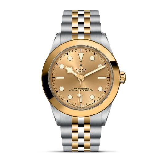 TUDOR - Black Bay One 39 S&G