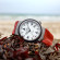 Mühle Glashütte S.A.R. Rescue-Timer - Bild 4
