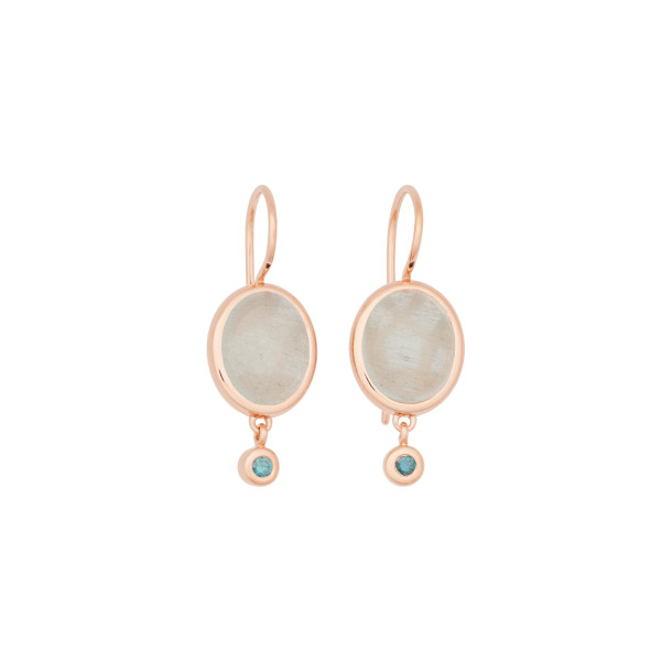         Roségold, Ohrringe, Bron Sushi Ohrschmuck