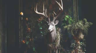 Geschenkideen rund um die Festtage