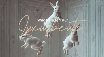 Design Ohne Titel (44)