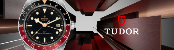 Tudor-banner