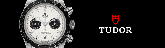 Tudor-banner