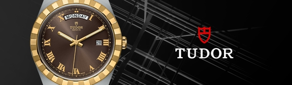 Tudor-banner - 2023-03-30T120047.787 (1)