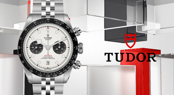 Tudor-banner-10