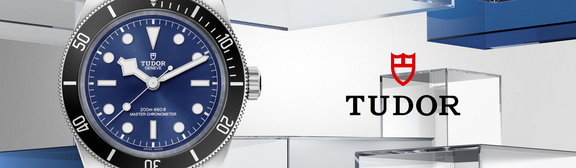 Tudor-banner-05