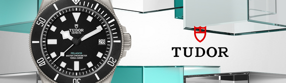 Tudor-banner-03