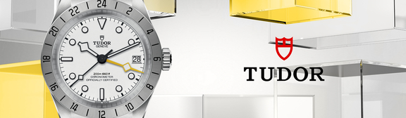 Tudor-banner-07