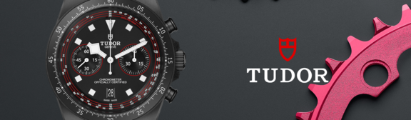 Tudor-banner(11)