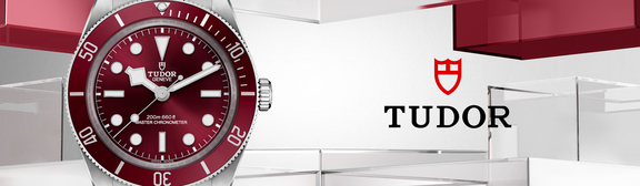 Tudor-banner-01