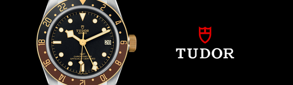 Tudor-banner