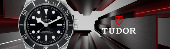 Tudor-banner(3)