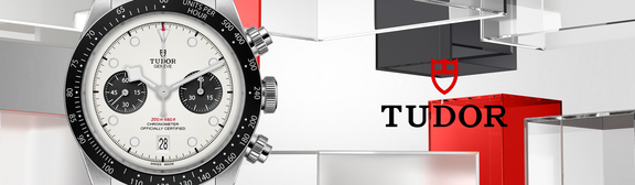 Tudor-banner-09