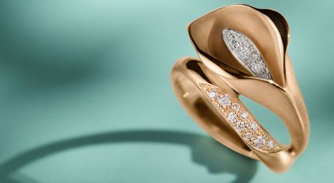 Design ohne Titel (57) Design ohne Titel (57)