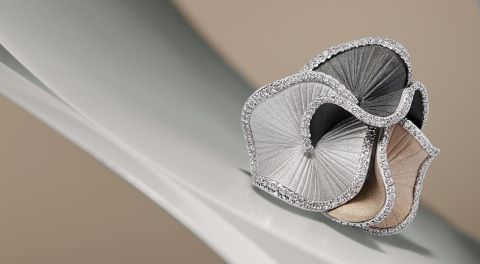 Design ohne Titel (58)